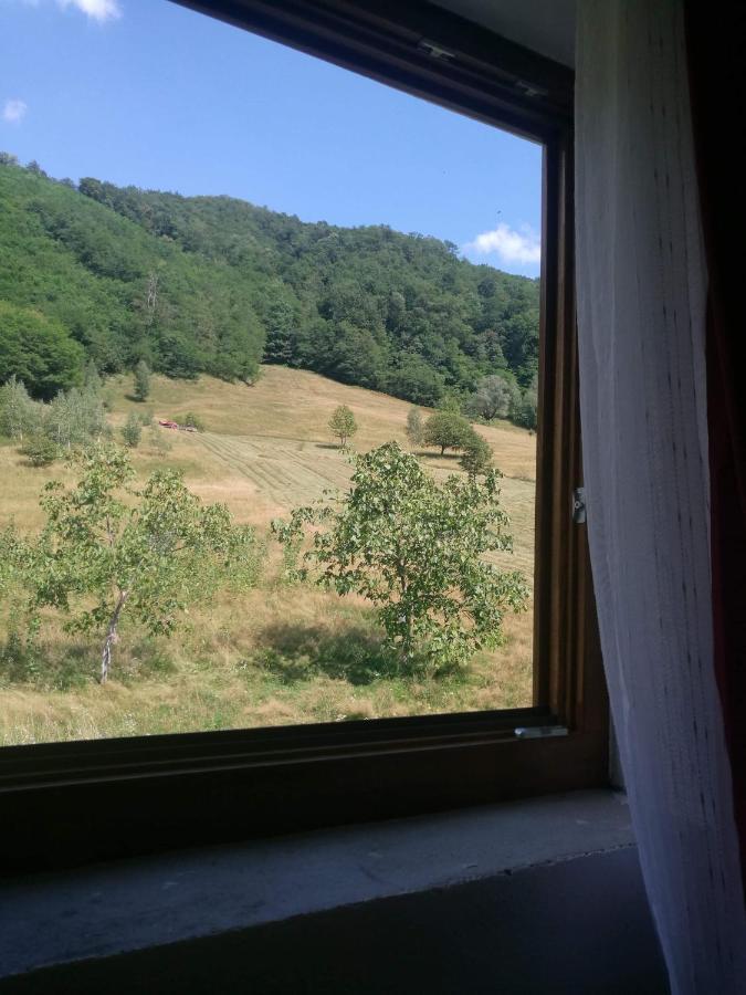 Pensiunea Costesti Exterior photo
